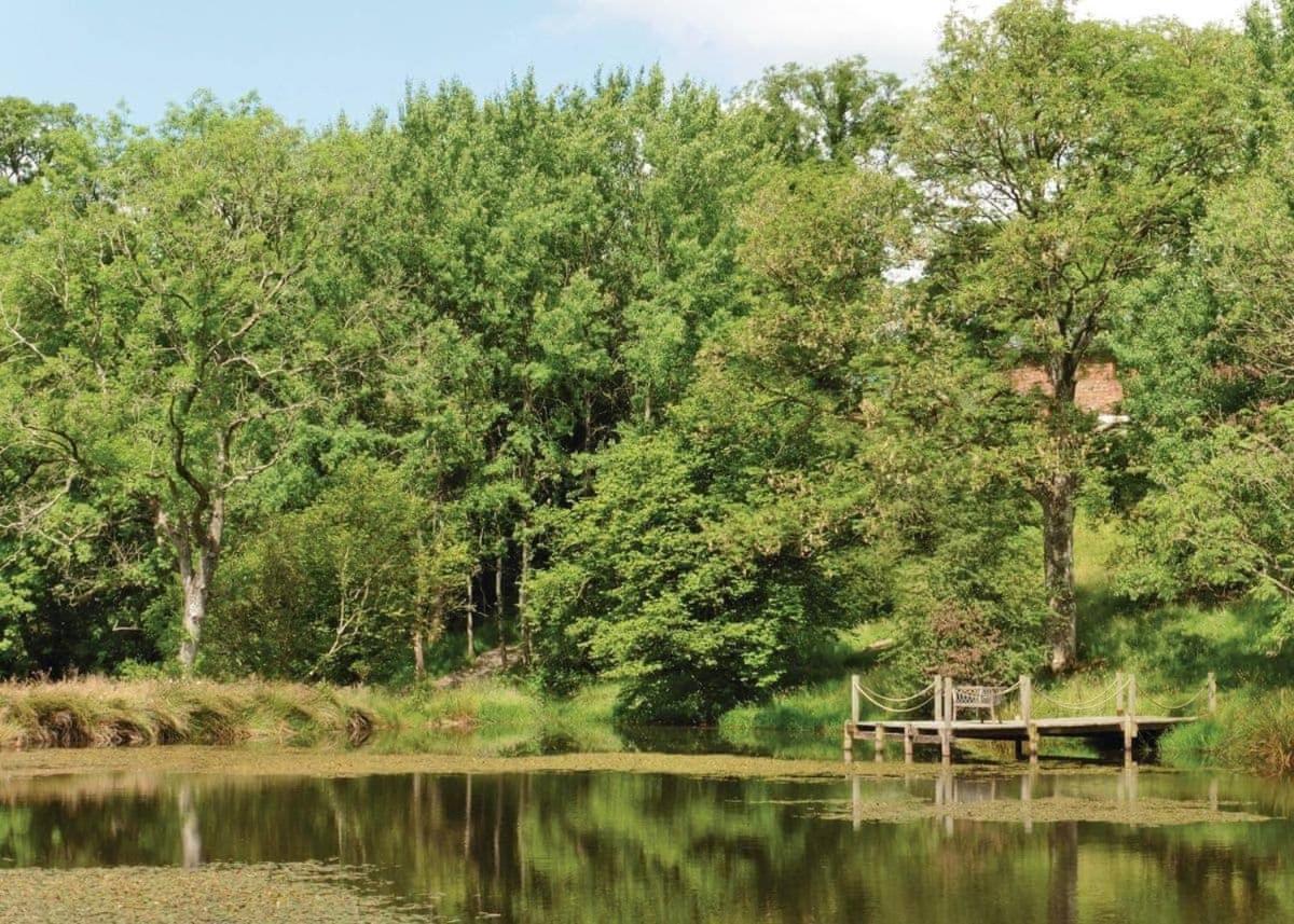 Mill Meadow Lodges Llanbister Esterno foto